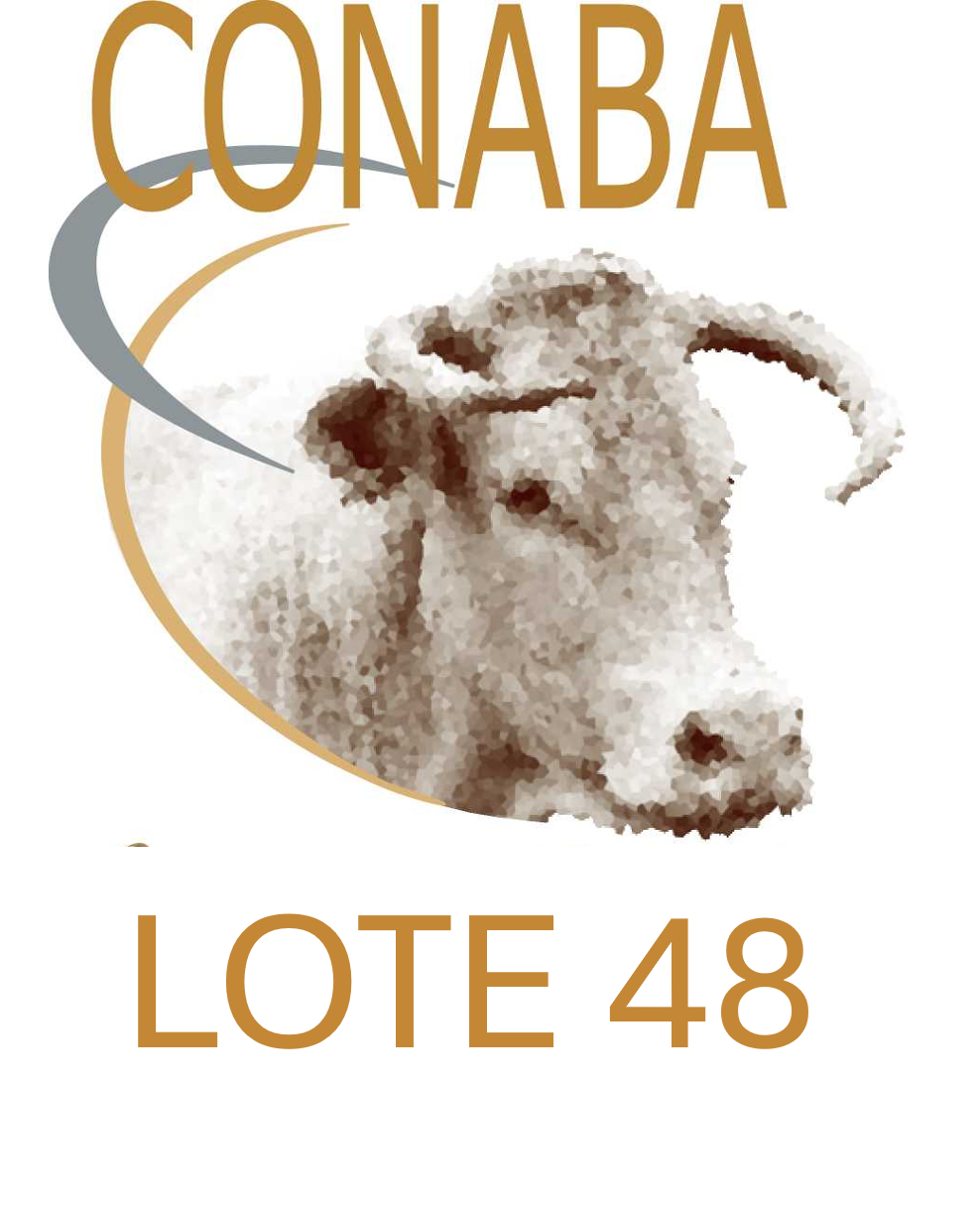 LOTE 48