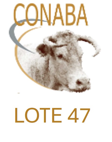 LOTE47