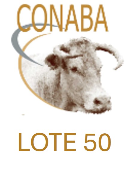 LOTE50