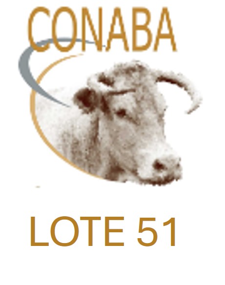 LOTE51