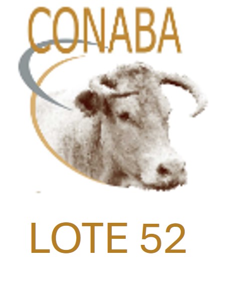 LOTE52